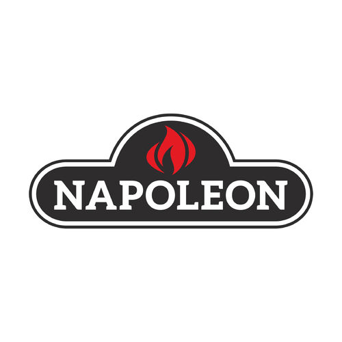 Napoleon Druckminderer und Schlauch 0,9m N530-0042
